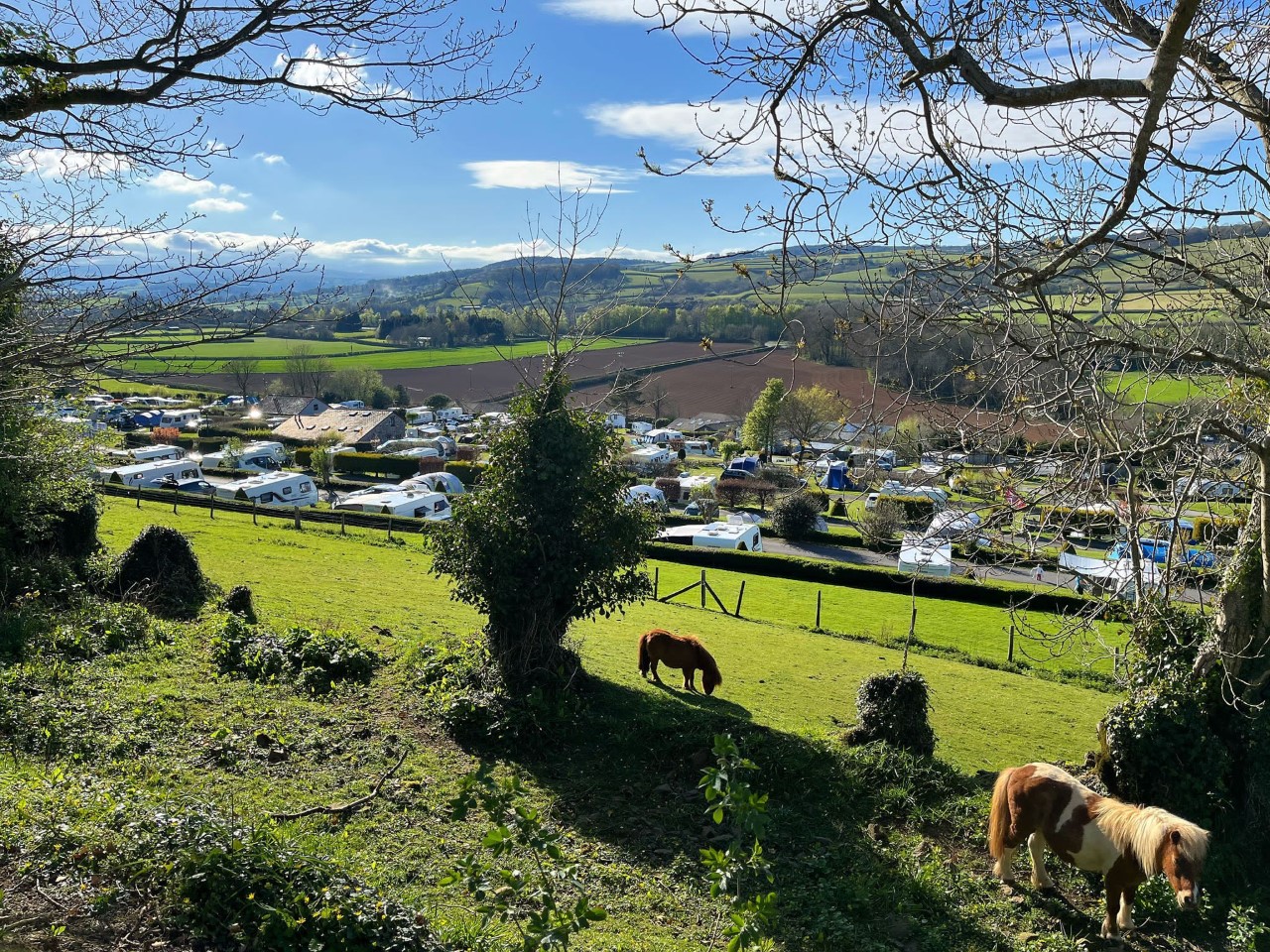 Pitches We Offer Parkers Farm Holiday Park