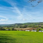 dog friendly holiday park devon