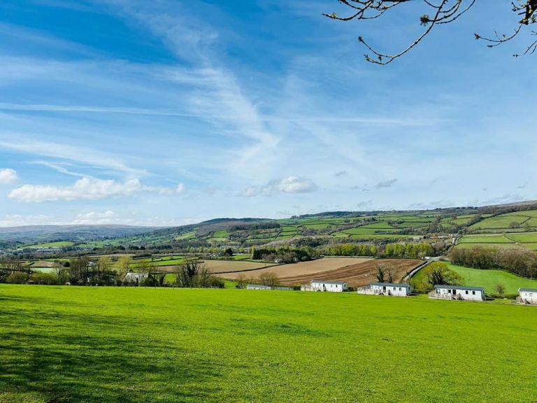 dog friendly holiday park devon