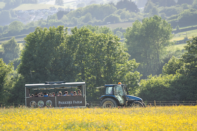 Family tractor ride at Parkers Farm Holiday Park in Devon